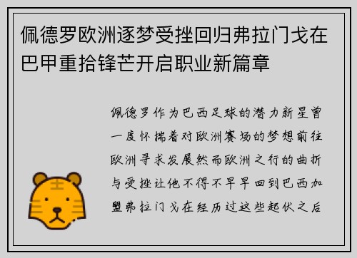 佩德罗欧洲逐梦受挫回归弗拉门戈在巴甲重拾锋芒开启职业新篇章